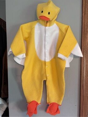 Vintage Duck Costume